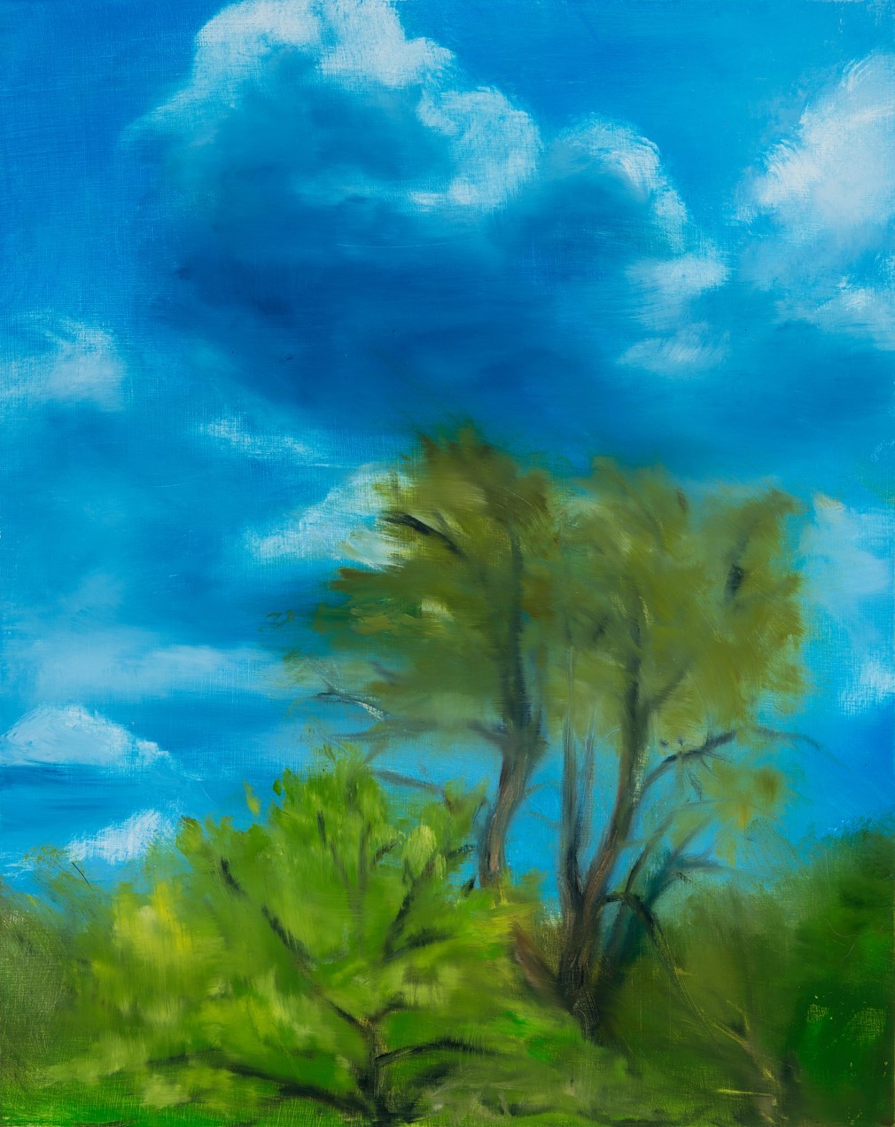 Tree Under Cloud