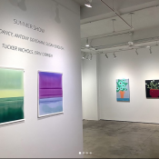 The Summer Show